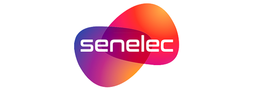 SENELEC LOGO